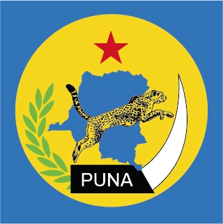 PUNA — Identité de marque & communication