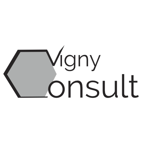 Vigny Consult — Identité de marque